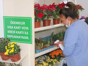 Çankaya’da bitki satış noktasına yoğun ilgi