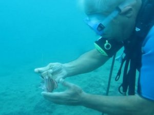 Mahsur kalan naylon balığına su altında profesör eliyle özgürlük