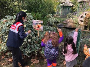 4 Ekim Dünya Hayvanları Koruma Günü