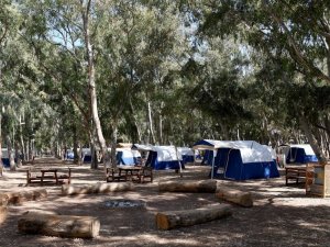 Ada Camping, Türkiye’nin bir numarası oldu