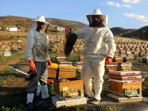 Kuraklık bu sene balın tadını kaçırdı