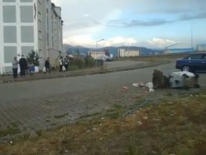 Sarıkamış’ta bozayı meraklılarından ’tehlikeli’ özçekim