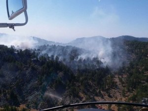 Bozyazı’daki yangında yaklaşık 10 dönüm ormanlık alan zarar gördü