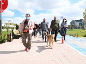 Hayvanseverler, Başkent’te hayvanlar için yürüdü