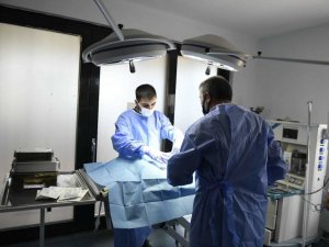 Ankara Büyükşehir belediyesi sokak hayvanları için özel hastanelerle el ele