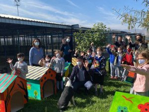 Minik dostların yuvaları ve mamaları teslim edildi