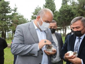 Sandıkçı: “Çocuklara hayvan sevgisi aşılayalım”