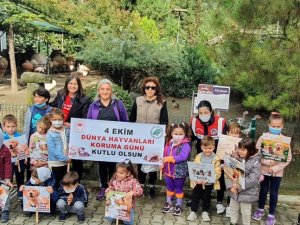 4 Ekim Dünya Hayvanları Koruma Günü etkinliklerle kutlandı