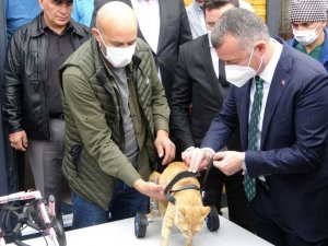 Felçli sokak hayvanları bu merkez ile özgürlüğüne kavuşacak