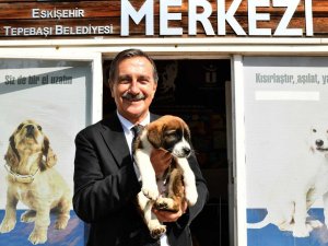 Hayvan dostlarına teşekkür edildi