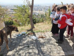 Öğrenciler sokak hayvanlarını besledi
