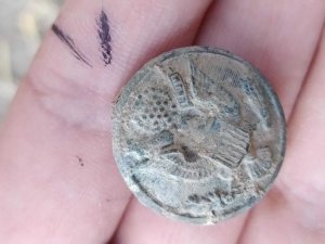 Zerzevan Kalesinde bulundu, nasıl geldiği merak konusu oldu