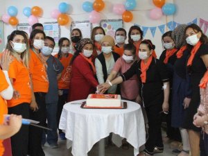 Emzirme haftasında anne sütünün önemi anlatıldı