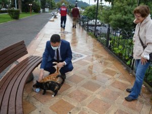 Kdz. Ereğli’de sokak hayvanlarının beslenme ihtiyacı karşılandı