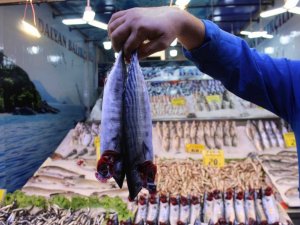 Ulus Hali Balıkçı esnafı meydan okudu