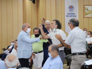 HDP’li meclis üyesi, belediye başkanının üzerine yürüdü