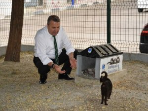 Yunusemre’de sokak hayvanları unutulmadı