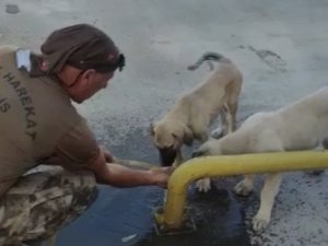 Özel harekat polisi yaptığı hareketle yürekleri ısıttı