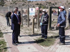 Başkan Işık: "Bakımevinde 3 bin 599 hayvan tedavi edildi"