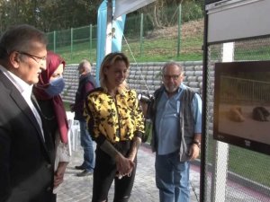 Beykoz’da Carolina Alurralde’den ’Dost’ sergisi