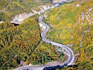 Yapraklar sarardı ortaya tablo gibi görüntüler çıktı