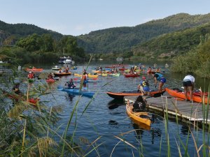 Deniz kaplumbağalarının “annesi” için şükran geçişi
