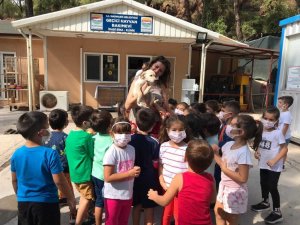 Marmaris’te hayvan barınağı öğrencilerin akınına uğradı
