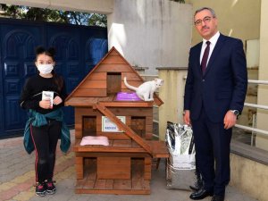 Küçük Eylül kedi evine kavuştu