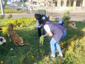 Dünya hayvanları koruma gününde hayvanlar sahipsiz kalmadı