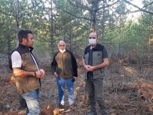 Müdür Keskin: “Ormanlarımıza daha iyi gelişme ortamı oluşturuyoruz”