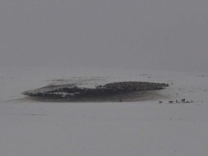 Kars’ta kar ile hava sıcaklığı eksi 5 dereceye düştü