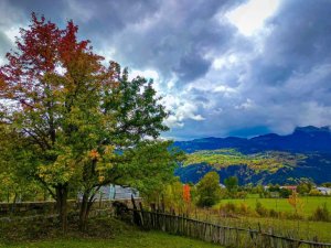 Sonbaharın gelişi ile sakin şehir Şavşat’ta renk cümbüşü başladı