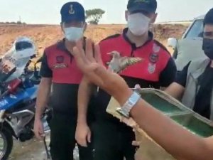 Kaçak avcıya 21 bin 246 lira para cezası