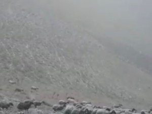 Iğdır’ın yüksek kesimlerinde kar