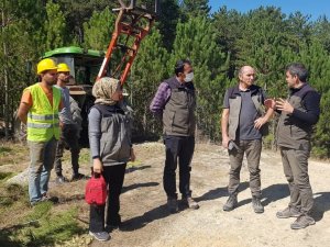 Dumlupınar’a yeni mesire alanı