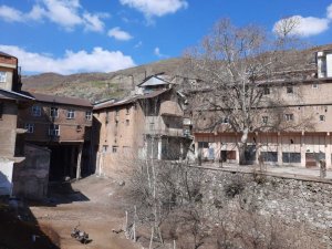 Elazığ’da bulunan 115 yıllık ‘Dua çınarı’ tescillendi