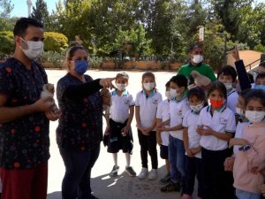 Gaziantep Büyükşehir, miniklere hayvan sevgisi aşılamak için düğmeye bastı