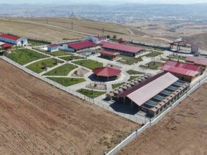 Dünyaca ünlü Kangallar bu tesiste korunuyor