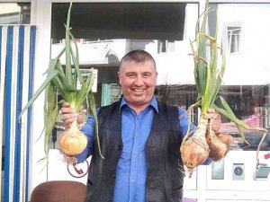 Ürettiği 840 gram soğan şaşırttı