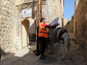 Mardin eşekleri restorasyon çalışmalarında da mesai yapıyor