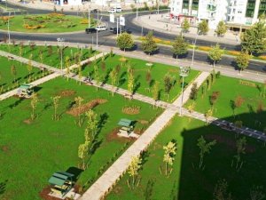 Bağlar Belediyesi 2 buçuk yılda ilçeyi yeşil alana doyurdu