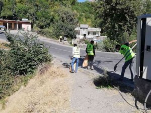 Şenoba belediyesinden sonbahar temizliği