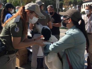 Can dostlar Aydın’da güvende