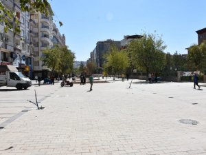 Siirt’te ağaçlandırma çalışmaları başladı