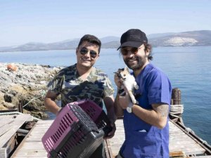 Ölüme terk edilen yavru kedileri belediye ekipleri kurtardı