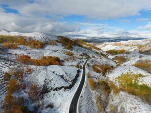 Erzurum ormanlarında kış ve sonbaharın renkleri görsel şölen yaşattı