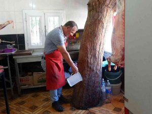 Kasap, dükkanındaki asırlık çam ağacına gözü gibi bakıyor