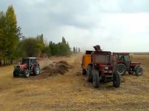 Zamlar çiftçiyi hayvan gübresine yöneltti