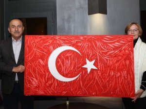 Ukraynalı ressam dereceye girdiği Türk bayrağı tablosunu Bakan Çavuşoğlu’na hediye etti