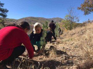Tunceli’de Tenzile Erdoğan anısına fidan dikildi